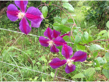 �������� ���� �� �����