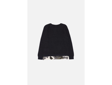 20120310055   Davidson   �����-�������(����).jpg