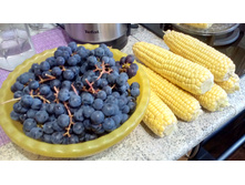 IMG 20180909 162701 1.jpg