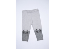 20250160014   Begonija   �����.jpg