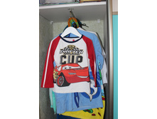 ������ 110