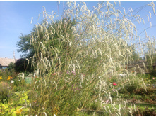 ����������� �����