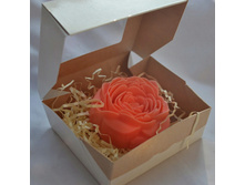 ������� � ��������� 120 ���.