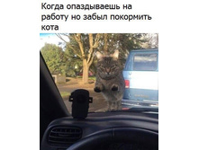 ����� ����������� �� ������ �� ����� ��������� ����