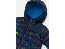 20150130005   Sorgo   �����-�������̆(������).jpg