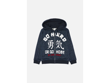 20120170052   Franklin   �����̆(���).jpg