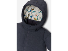 20150130006   Dolphin   �����̆(������).jpg