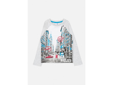 59dfd500dc188 21110100009dezsvetlo-seryybek.jpg