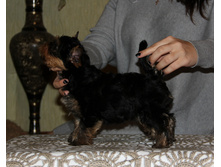 IMG 7478.JPG