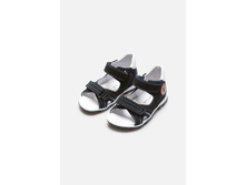 20128100001   Allegro B   �����-�������̆(���).jpg