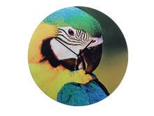 ���� ��������� ����������� "����� ����. �������", d=40 �� ����; �����; 4 �� × 40 �� × 40 ��; �������, ����; � ����� 12 ��. ���.: 760860 108.00 ���.