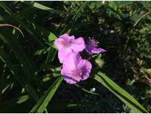 ������������ ��������