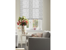 ������� �����.jpg