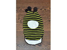 ���� ����� 48.JPG