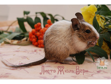 ����-3 5-1.jpg