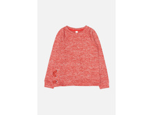 20210100201   Brandy   ��������(���).jpg