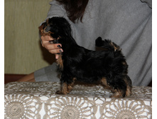 IMG 7605.JPG