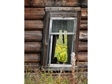 � ������