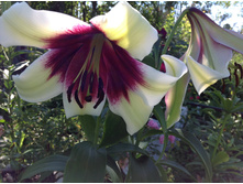 I����� ���� ����