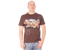 �������� �ң�.jpg