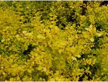 �������� ������ 2�, ���� 100��� (�������� 1��).JPG