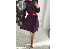 Plate-6703.jpg  1463���