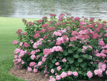 ��������� ����������� ����������.jpeg