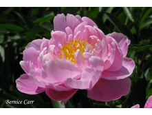 ���� ������ ����.jpg