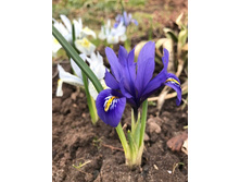 ���� ����������.jpg