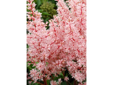 �������� ��� �� �� (94,15)