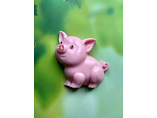 ��������� �����������