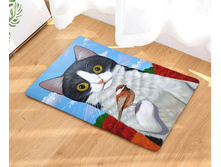 10,8 - 40�60��, 20,0 - 50�80��