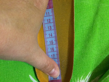 IMG 6393.JPG