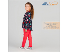 110�-�, 743���