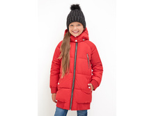 20210130146   Bombina   �������.jpg