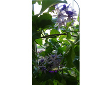 ������ �������� - ������ �������� .