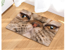 10,8 - 40�60��, 20,0 - 50�80��