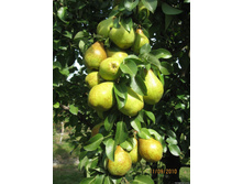 ����� ������������ ������ 19�� 320� 2� 6�� 370� 3-5�.jpg