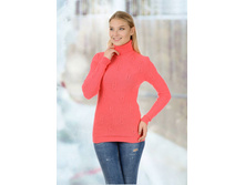 ������ J529K