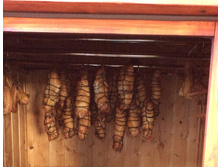 ������� ������