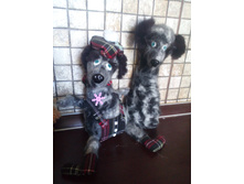 IMG 20180707 125737.jpg