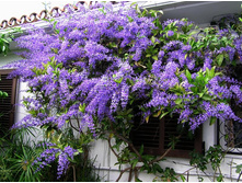 ������ �������� - ������ �������� ..