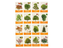 ��������� �������� "������� � ����������" 16 ��.