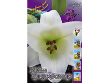 ����� ���� ���������� (21,46)