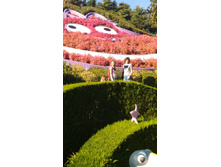 P 20181010 161429.jpg