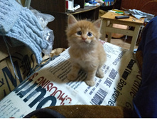 IMG 20181028 175033 HHT.jpg