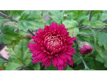 �������� ������