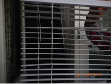 ������ 2