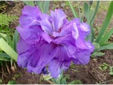 ���� ��������� ���������� ��� ����������.jpg