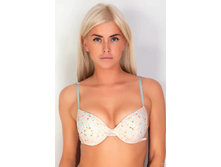 BF0680 �����������.jpg